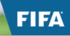 人造草坪 FIFA 會(huì)員企業(yè)